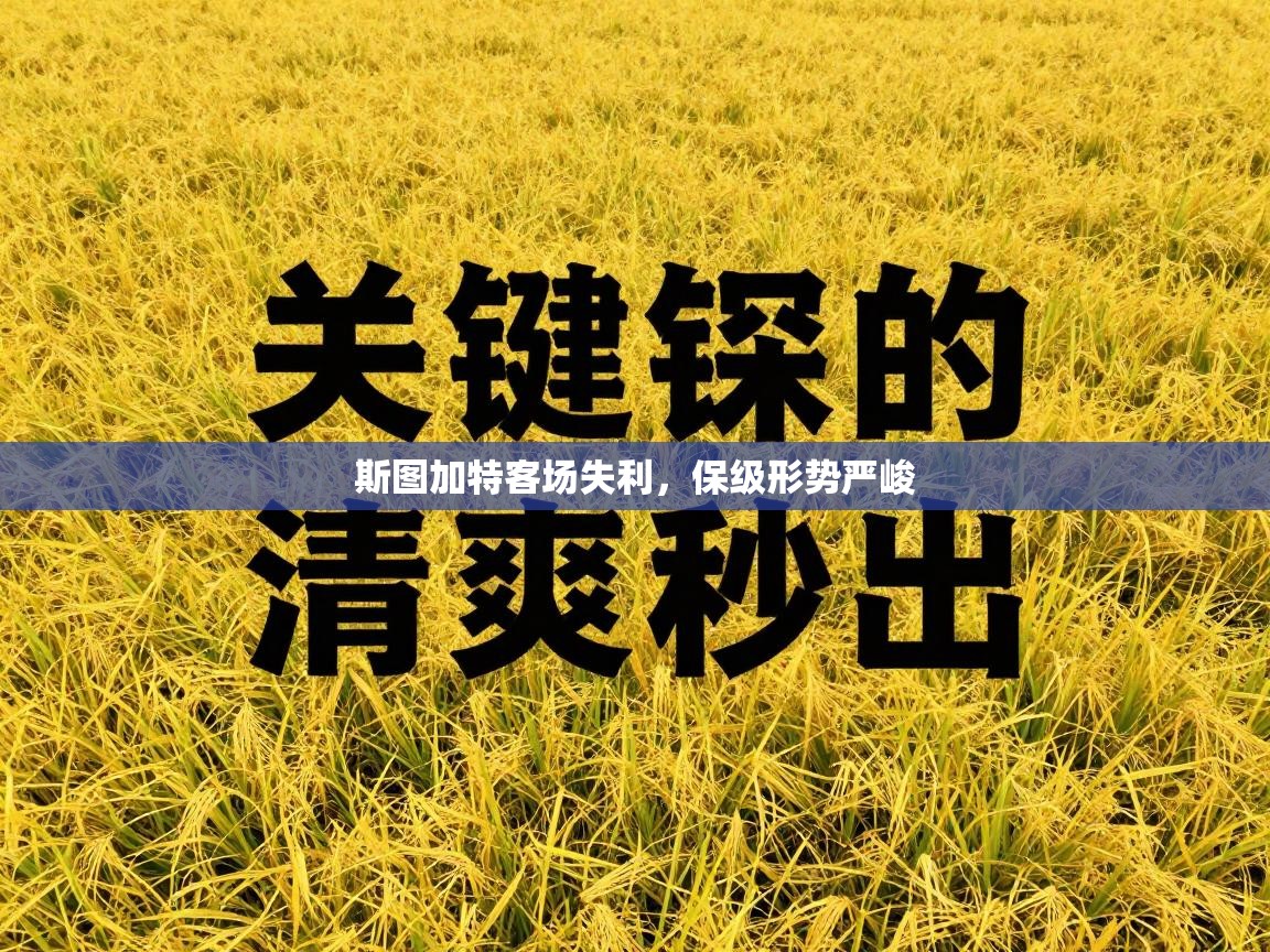 斯图加特客场失利，保级形势严峻  第2张